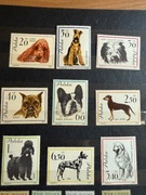 Znaczki z 1962 Psy i Koty Polskie