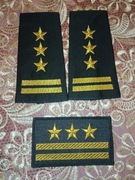 Dystynkcje PSP Starszy Brygadier