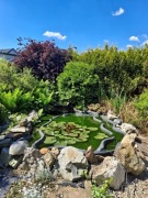 Oczko wodne kompletne