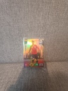 Panini world cup south africa 2010  champion Fernando Torres spain 