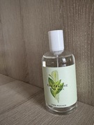 Yves Rocher The Vert zielona herbata woda toaletowa