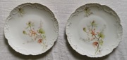 2 talerzyki 18 cm Friedrich Kaestner Oberhohndorf 1900 - 1920