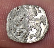 Polska Zygmunt II August denar 1555 Wilno