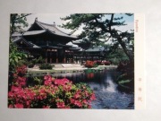 JAPONIA Uji świątynia Byodoin religia buddyzm Kioto 