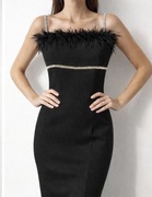 Sukienka z piórowym dekoltem 