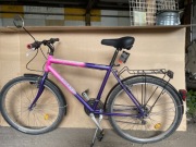 Rower trekkingowy Ragazzi