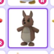 Kangaroo - Roblox Adopt Me 