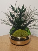 MECH CHROBOTEK w doniczce kompozycja duża na PREZENT 