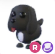 Royal Palace Spaniel R - Adopt Me Roblox