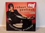 Robert Gawliński lider zespołu WILKI