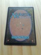 Innistrad około 155 RÓŻNYCH kart MTG