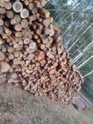 Drewno opałowe sosna SUCHA