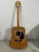 GITARA STARFIELLD 870 