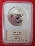 20 ZŁ MORŚWIN  2004 