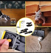 Pułapki na szczury i myszy 10 szt, profesjonalne, mocne