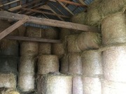 Słoma baloty 120x140-150