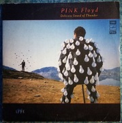 Pink Floyd – Delicate Sound Of Thunder - Melodia 1989 White Labels 2LP