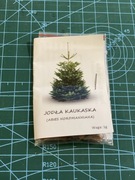 Nasiona Jodła kaukaska - 1g - ok 15 nasion