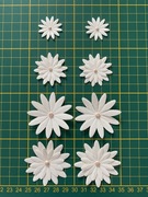 Kwiatki papierowe scrapki