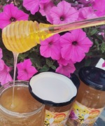 Miód WIELOKWIATOWY 1,2kg Warmio Miody NIEMAS