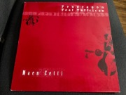 Pendragon feat. Taffrican - Maen Cetti - Acid, Hard Trance