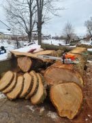 Blat debowy plaster debu stolik monolit