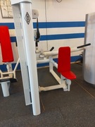 Triceps- hbp,gym80,lk- polecam