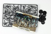 Warhammer Age of Sigmar Chainrasp Horde (10 modeli)