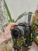 Nikon D60 | stan zadowalający | 31 159 zdjęć | w pełni sprawny