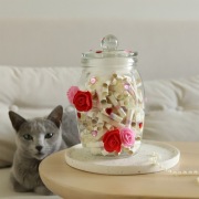 Afirmacje na Dobry Dzień - Lily | Słoik Afirmacji na Dziś | Rękodzieło 