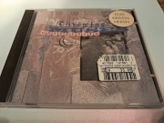 Throwing Muses - University / stan idealny / 4AD / 1994 Germany