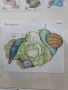 Somalia 2003  Mi ??? Ślimak blok idealna pozycja 