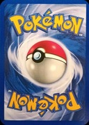 450 sztuk Album Oryginalne Karty Pokemon TCG Holo