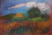 Pole w okolcy Czyżowa Szlacheckiego, pastele, A. S. Wiśniewski, 2000