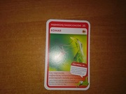 Śmiercionośne Komar karta nr 35 quiz Super Zwierzaki Biedronka