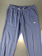 Spodnie Dresowe Dziewczęce 4F Rozmiar 164