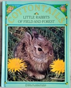 Cottontails Little Rabbit of Field and Forest