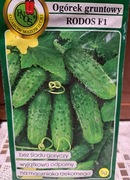 Ogórek gruntowy 'Rodos F1' nasiona