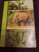 #158 Zeszyt, linia, 60, słoń