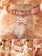 Adresówka z żywicy dla twojego pupila 