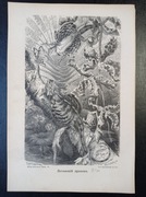 Piękna oryginalna litografia XIX - XX w. - Latające jaszczurki