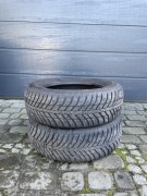 nexen n blue 4 season 195/65 r15 6mm 16/21