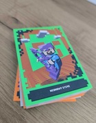 LEGO karty Minecraft 