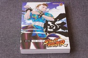 SF25: The Art of Street Fighter
