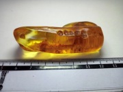 Naturalny bursztyn bałtycki bryłka 20g.