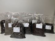 Mieszanka, ziemia uniwersalna dla roślin doniczkowych domowych