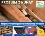 Zwalczanie kuny pastuch na dom naprawy dachu