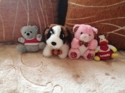 Piesek ratownik i misie 