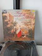 Płyta winylowa Reich mir die hand, mein leben 