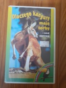 Dlaczego kangury mają torby? 